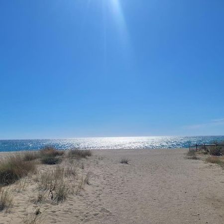 Joli Studio Bleu Mer Canet-en-Roussillon Dış mekan fotoğraf